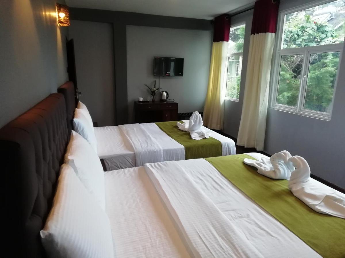 Tea Mount Forest Nuwara Eliya Ngoại thất bức ảnh