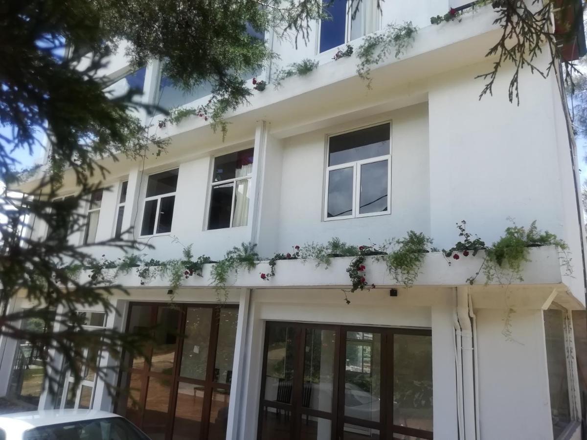 Tea Mount Forest Nuwara Eliya Ngoại thất bức ảnh