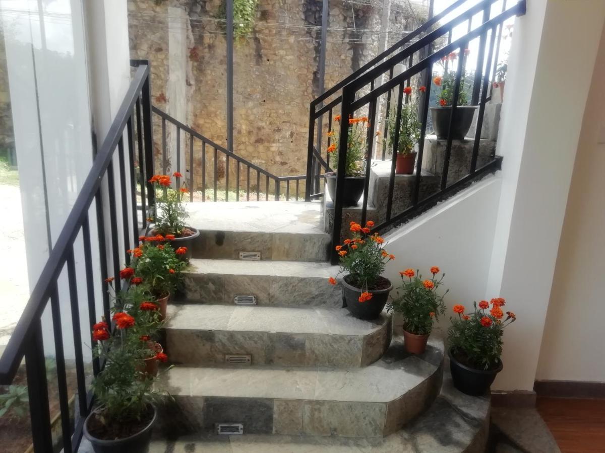 Tea Mount Forest Nuwara Eliya Ngoại thất bức ảnh